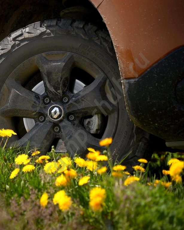 Duster с палаткой на крыше на Кавказе
