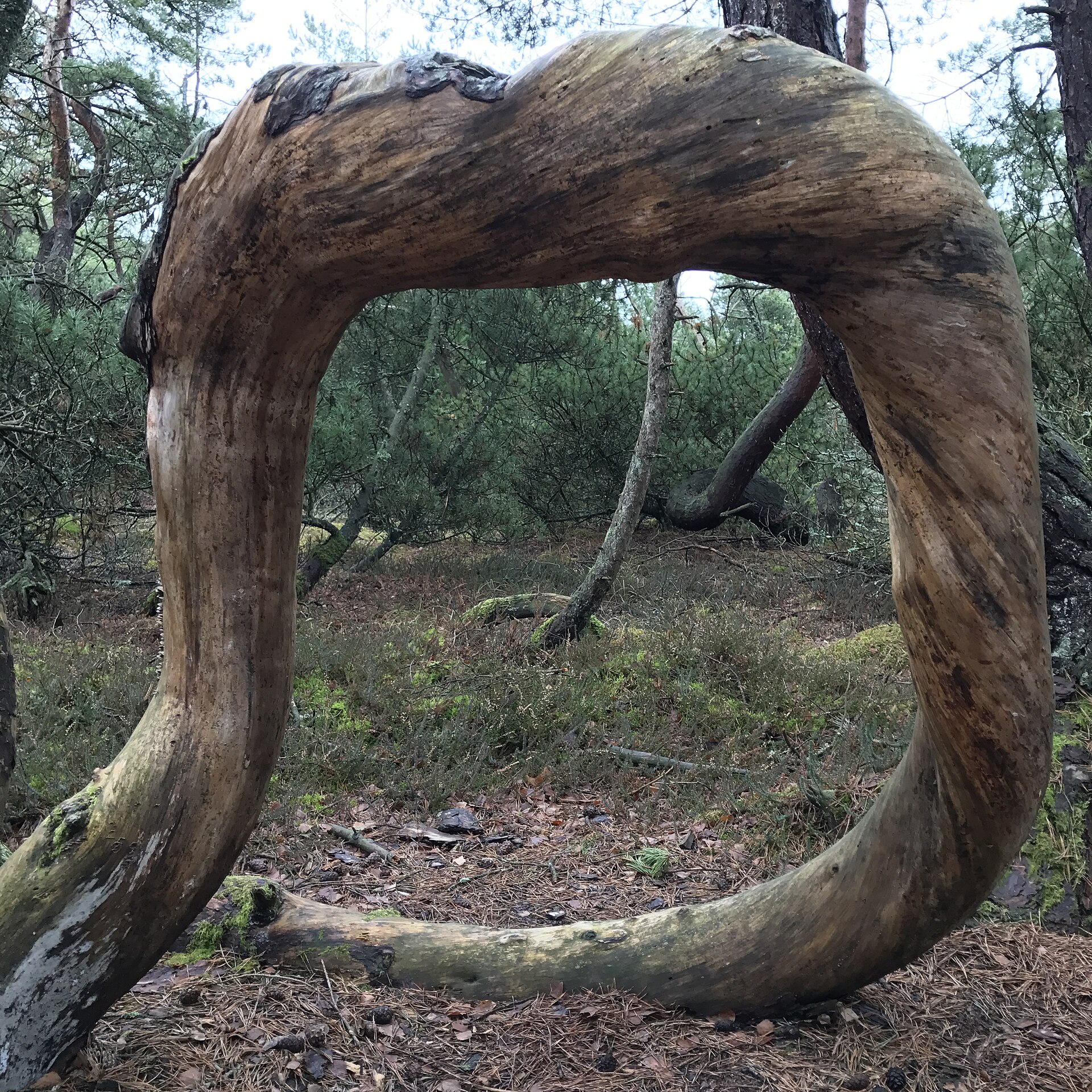 Haverdal — photo 1