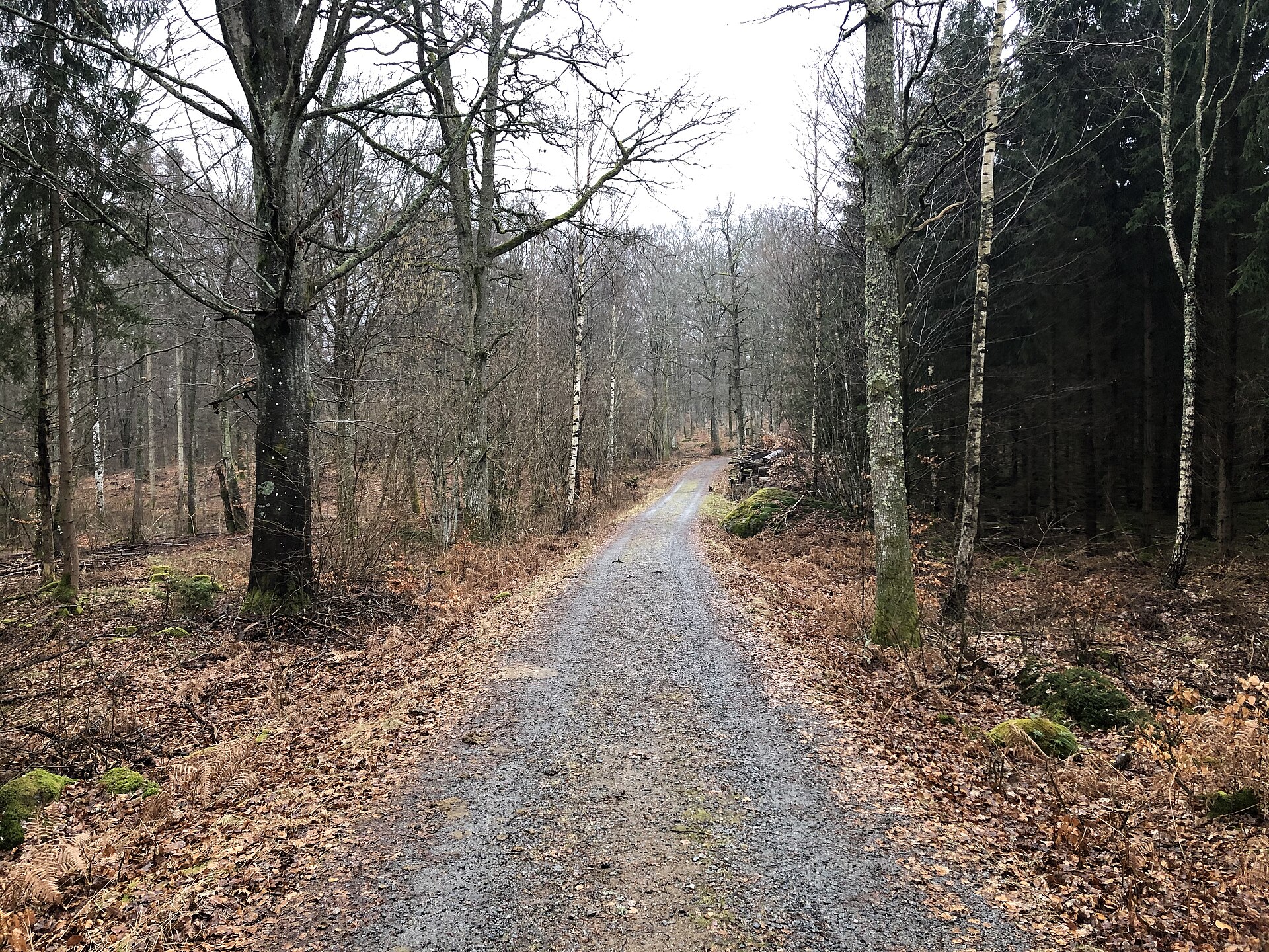 Långasjönäs — photo 1