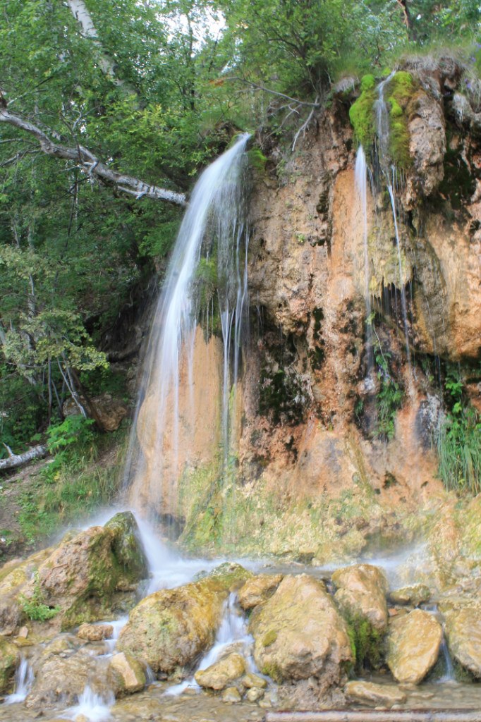 Плакун