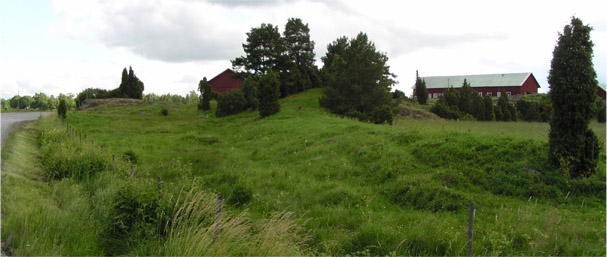 Götavirke — photo 1