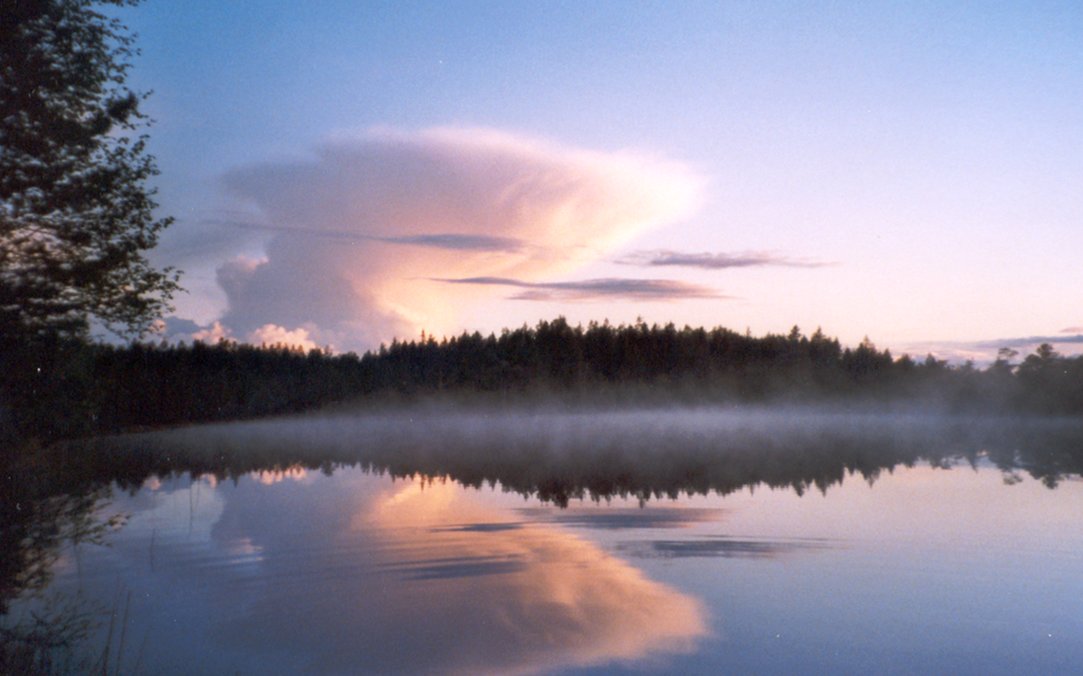 Salamajärvi National Park — фото 1