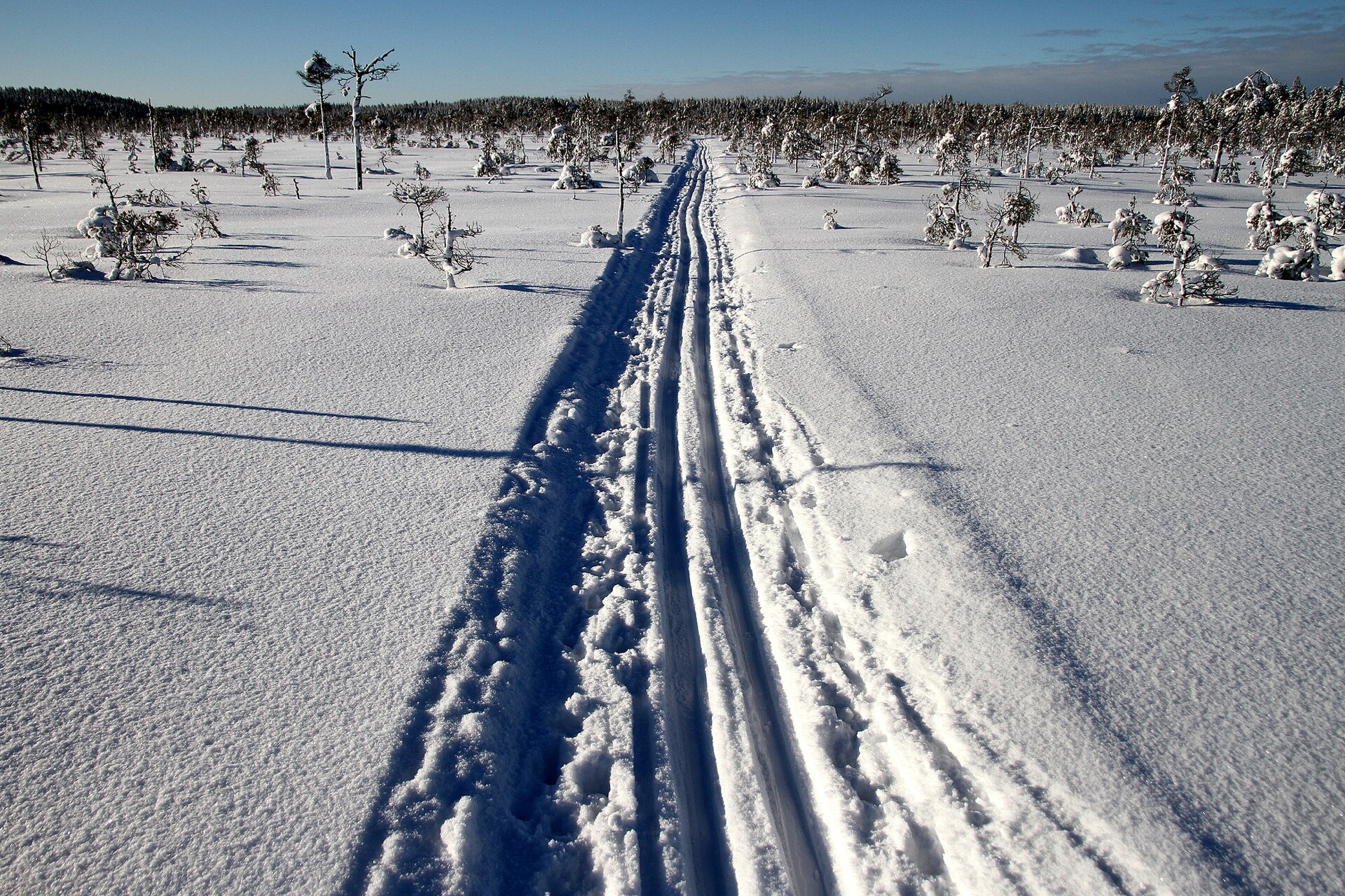 Bredmossen — photo 1